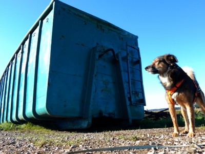 Hund_Container-dogblog-hundeblog-canistecture