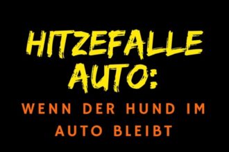Hitzefalle Auto: Wenn der Hund im Auto bleibt - Hundeblog Canistecture Hund im Auto