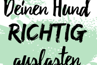 hund-auslasten-terminkalender