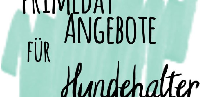 primeday Angebote für Hundehalter bei Amazon