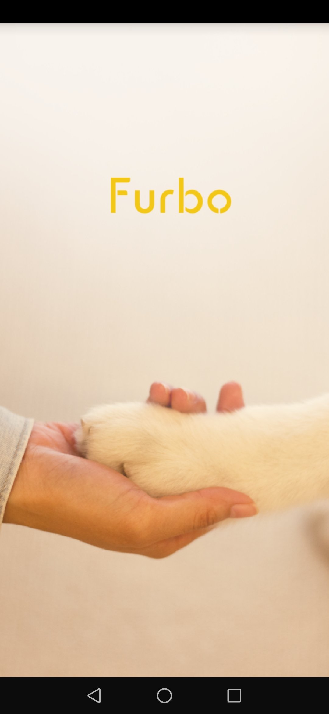 Hundekamera Furbo getestet Hundeblog Canistecture