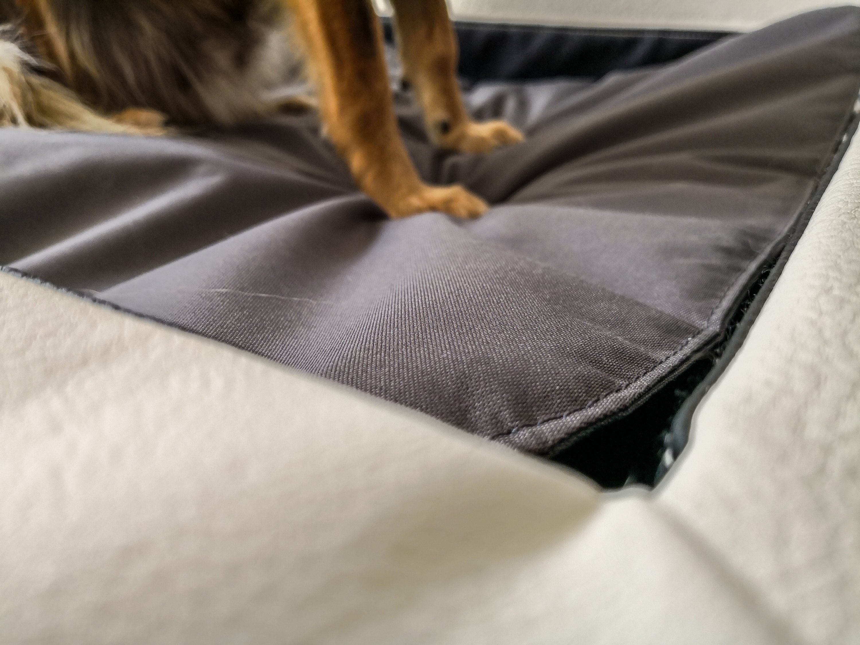 Orthopädisches Hundebett von DoggyBed